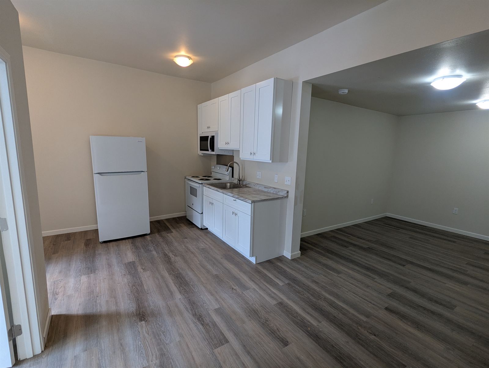 Open kitchen and living area in Unit 2
